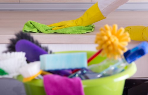Domestic cleaner preparing a Battersea home for a regular cleaning visit
