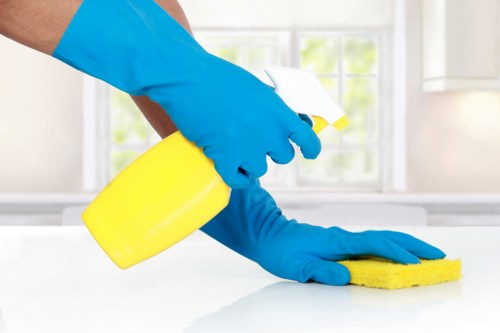 Professional stain assessment in a Battersea property