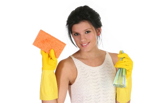Cleaning service terms and conditions introduction with booking and service agreement details