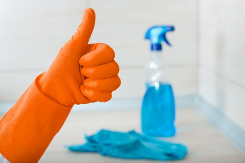 Targeted pet stain and smell removal service for Battersea homes and businesses
