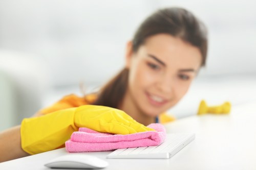 Odour treatment for pet accidents in a Battersea flat