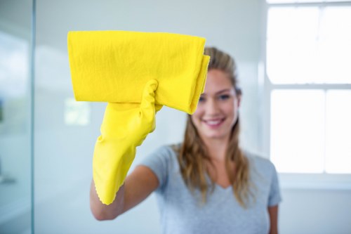 Steam cleaning treatment for a busy Battersea home or office carpet